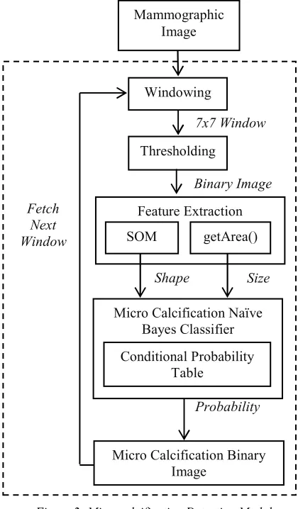 Table  Probability Figure 3: Possible Shapes Of Microcalcification 