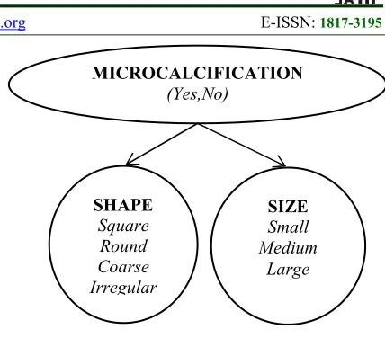 Figure 5: The Belief Network Of The System Naïve Bayes Classifier 