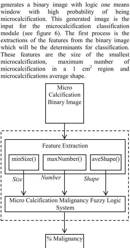 Figure 6: Microcalcification Classification Module 