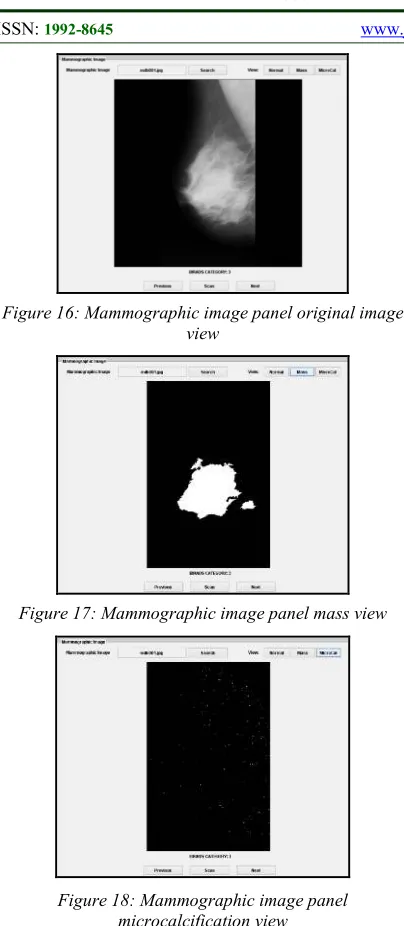 Figure 16: Mammographic image panel original image 