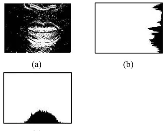 Figure 4. Illustration Of Horizontal-Vertical Image Pro- Jection, (A) Result Of Frame Difference, (B) Horizontal (c) 