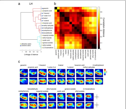 Fig. 6 Attractive and aversive odor representations are segregated into two different regions in the LH