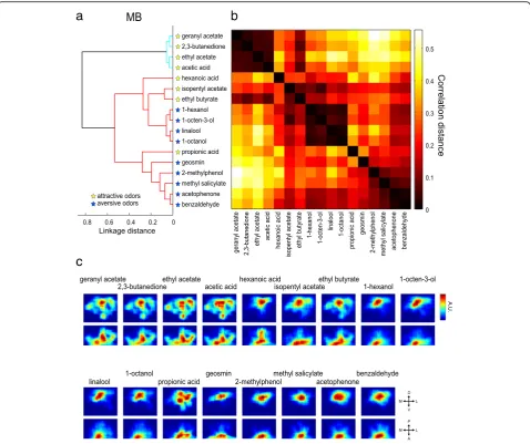 Fig. 7 Attractive and aversive odor representations are partly separated in the MB calyx.anterior view (correlation distances between the functional maps