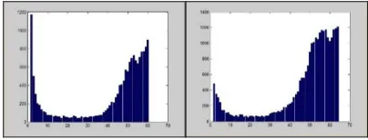Figure 1: Histogram Extracted From Two Different Two Pictures From The Video Eye MBGC Database