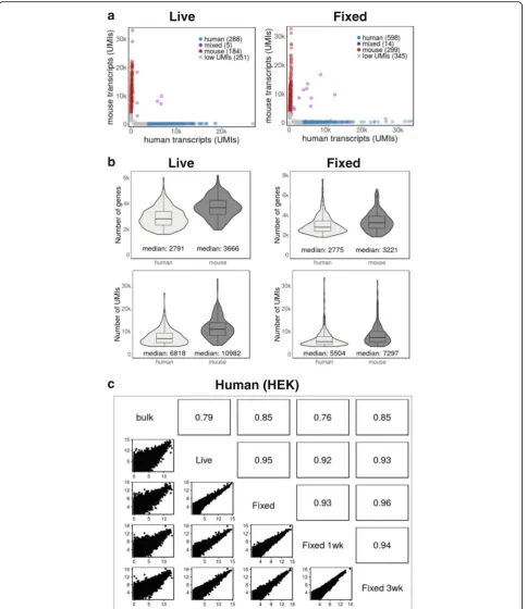 Fig. 2 (See legend on next page.)