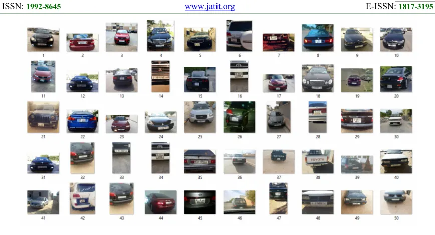 Figure 6: Sample Libyan Cars.
