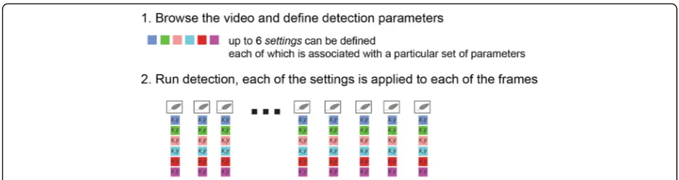 Fig. 4. Schematic of the detection stage. In very broad terms, one or more detection settings (up to six) are applied to each of the frames of thevideo