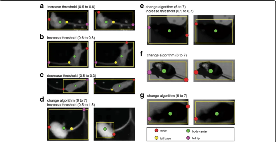 Fig. 8. A schematic overview of the reviewing stage. This graphic on top illustrates the operations that can be applied to each frame