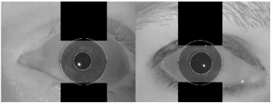 Figure (1): 