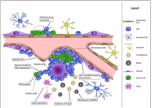 Fig. 3 Graphical summary of the potential actions of the complement system in the glial tumor microenvironment
