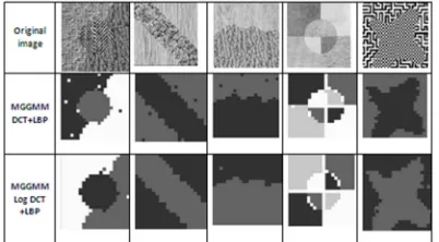 Figure 2: Original And Segmented Texture Images With  LBP Features 