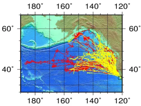 Figure 1Foraging location of adult femalesForaging location of adult females. Rectangular merca-tor projection of spring (yellow) and fall (red) migration tracks of 35 satellite-tagged female elephant seals from Año Nuevo, California (black lined square), 