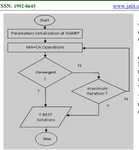 Figure 1.  HAMfP Steps 
