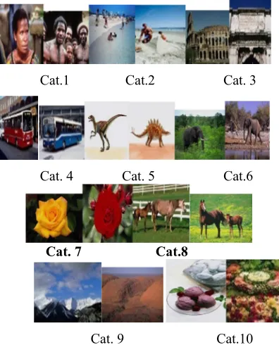 Fig. 7:  Some examples of image data set 