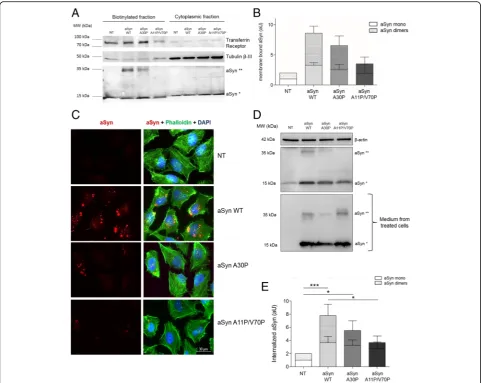Fig. 5 Membrane binding is essential for the aSyn internalization and inclusion formation