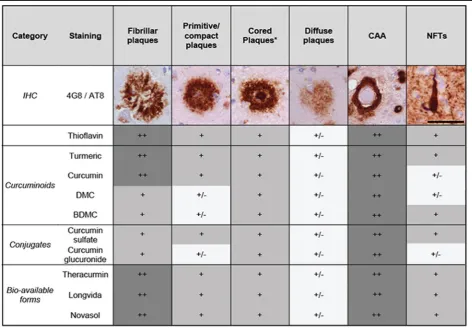 Table 4 Overview of binding of different curcumin forms to different pathological deposits
