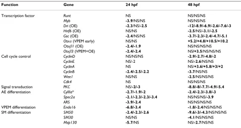 Table 1: Q-PCR analysis of gene expression in SpRunt morphant embryos