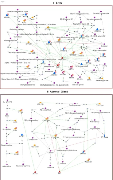 Figure 5Tissue-specific networksTissue-specific networks. (I) Liver; (II) Adrenal gland