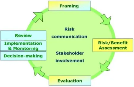 Figure 1: Risk Analysis With Proceedings Of Real Time Organization. 