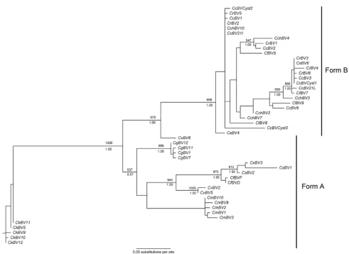Figure 1Cystatin gene tree obtained by maximum likelihoodCystatin gene tree obtained by maximum likelihood