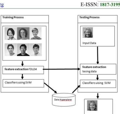 Figure 1. System Introduction to Gender BasedFacial Image.