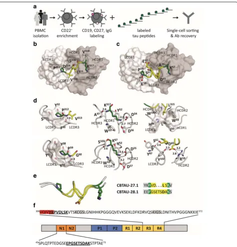 Fig. 1 (See legend on next page.)