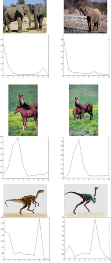 Figure 4: Examples For Pdfs Calculated Using TheMean Of Hue From HSV Color Model.
