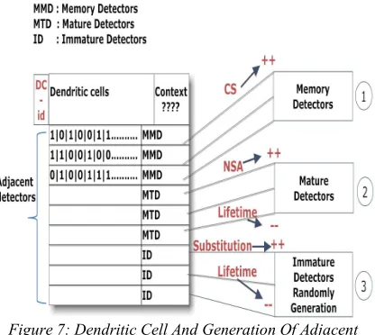 Figure 7: Dendritic Cell And Generation Of Adjacent 