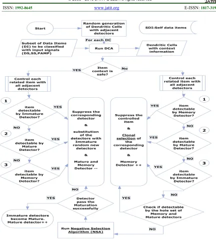Figure 8: Cita Algorithm Describing The Detection Process While Combined Dca, Cs And Nsa elements using adjacent Immature Detectors (ID) in 