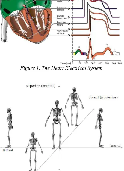 Figure 3. The Results of the Heart Examination Using the  ECG 12-lead 