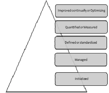 Figure 1: Conceptual Infostructure Maturity Level 