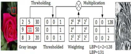 figure 1. The LBP value is between 0 and 255 and  
