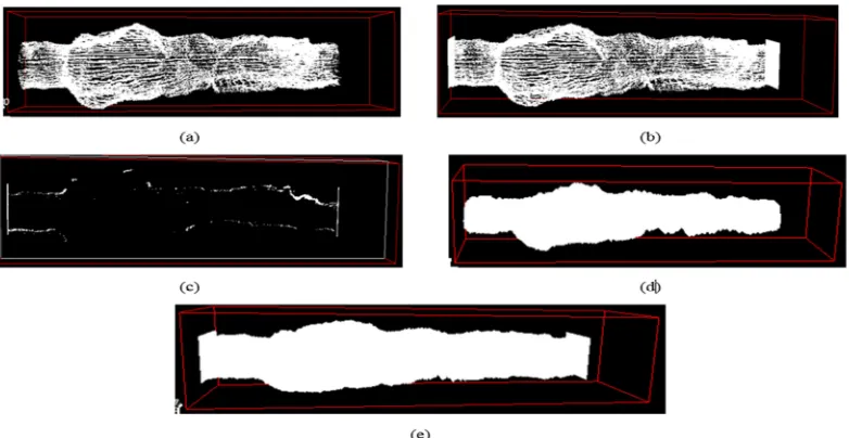 Fig. 7 (a) Input Point Cloud with the Holes and Overlapping Regions, (b) Point Cloud With Capping Both Side to Make the 