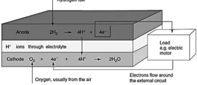 Figure 1: Basic operation of fuel cell [4]. 