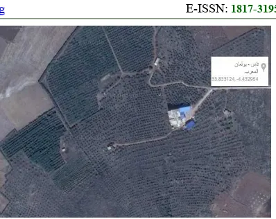 Figure 3: Satellite image of the farm 
