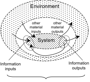 Figure 3 provides a basic schema of a system in simple interaction with the environment