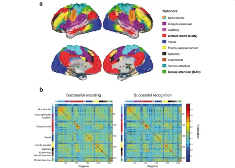 Fig. 1 a Network partition of 264 functional ROIs as described previously [34]. The left frontal cortex ROI that was added to this parcellation ishighlighted by a red circle