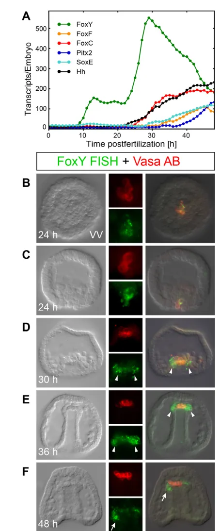 Fig. 2A displays the quantitative perturbation data collected for