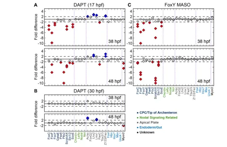 Fig. 2. Effects of Delta/Notch and FoxY perturbations on transcript levels for select genes