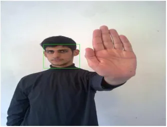 Figure 3. Image after skin color detection. 
