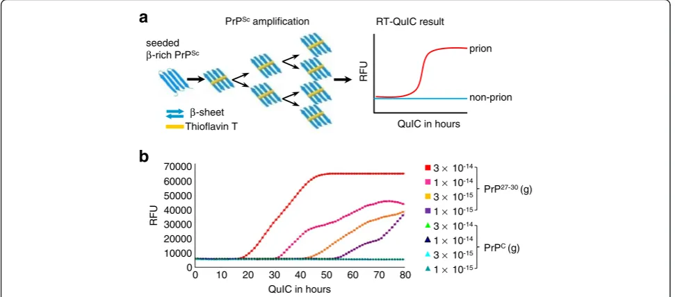 Figure 1 The basis of amplifying PrPSc with RT-QuIC. (a) Schematic illustration of RT-QuIC