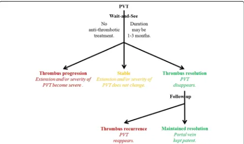 Fig. 4 A preliminary diagram regarding the natural history of portal vein thrombosis in cirrhosis