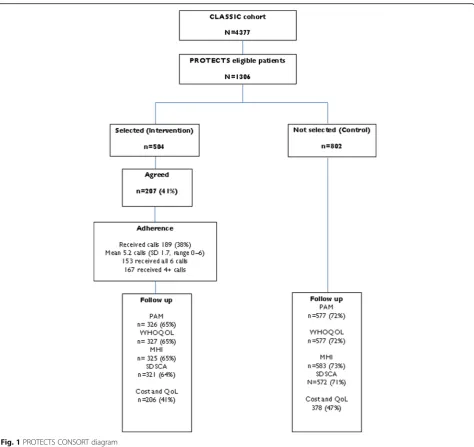 Fig. 1 PROTECTS CONSORT diagram