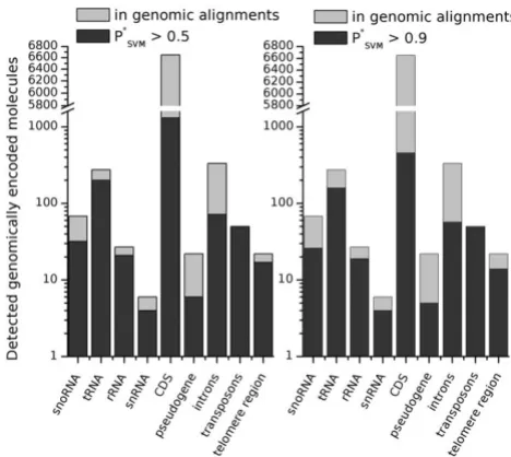Figure 1dicted RNA structuresKnown RNA genes in the yeast genome, covered by pre-