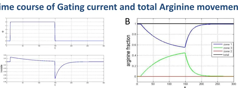 Figure 3. A. Example of gating current obtained by pulsing from -125 to 0 mV. B. Time course of arginines volume fraction in the three compartments of the sensor 