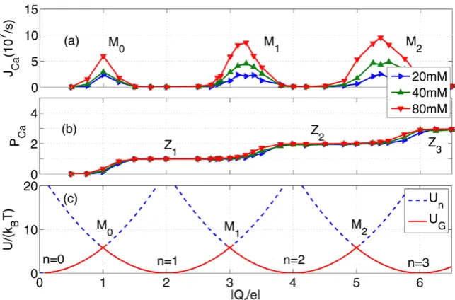 Figure 1. Electrostatic model of a Ca2+ or Na+ channel, after [22, 23]. Ions move in single ﬁle along the channel axis