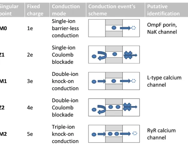 Figure 3. Physical mechanisms of multi-ion blockade and permeation of calcium ions.