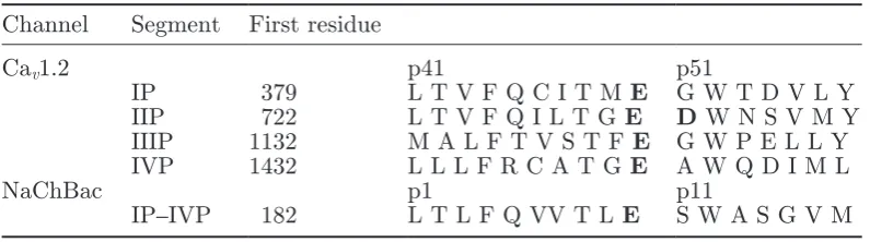 Table 1. Alignment of the protein P-loops near the selectivity ﬁlters of Caand Na2+ [26] + [8] channels.