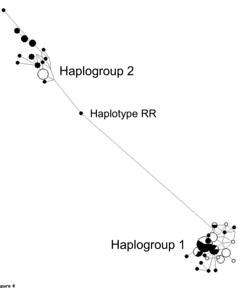Figure 4SDHA encesA median-joining network groups all haplotypes (Figure 3) on the basis of number of nucleotide differencesA median-joining network groups all SDHA haplotypes (Figure 3) on the basis of number of nucleotide differ-