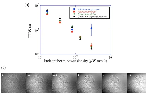 Figure 6) as a function of incident power density for all four species. At least three trials were performed per data point